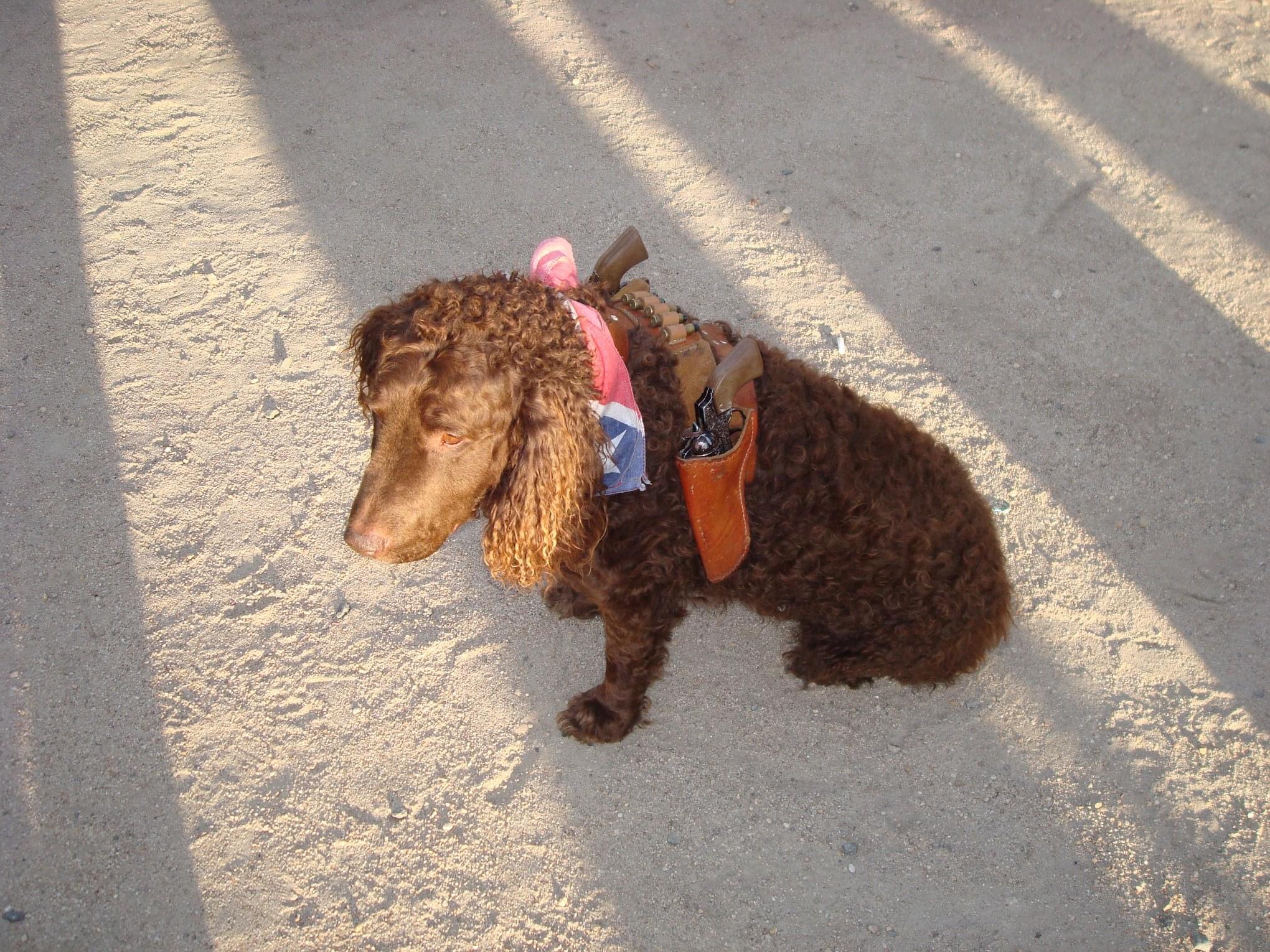 Click to view larger